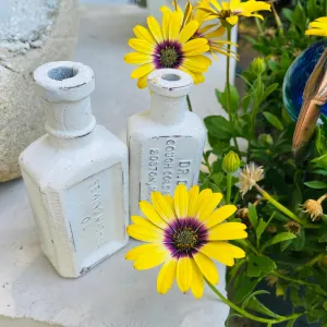 1890s Dr. Daniels Cough Cold & Fever White Rare Cast Iron Medicine Bottles Set