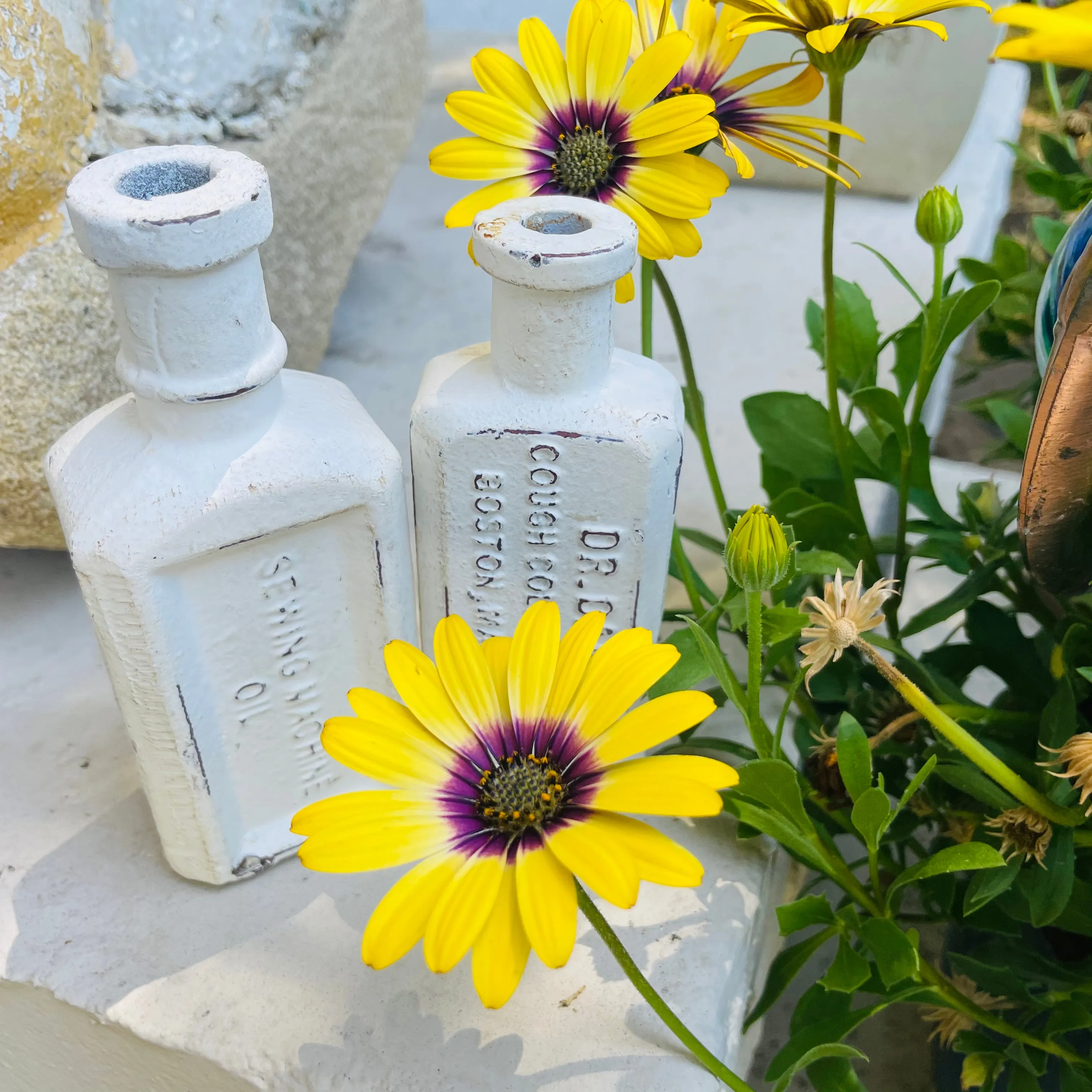 1890s Dr. Daniels Cough Cold & Fever White Rare Cast Iron Medicine Bottles Set