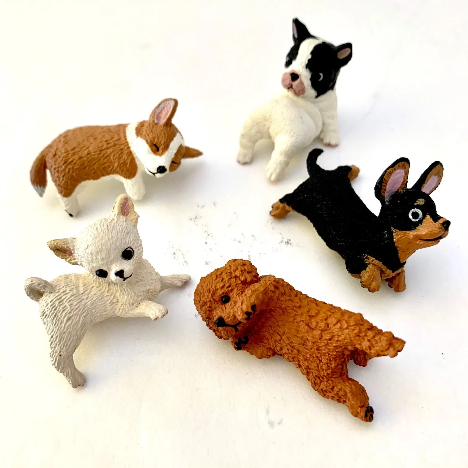 70727 PLAYFUL HANGING DOGS BLIND BOX-10