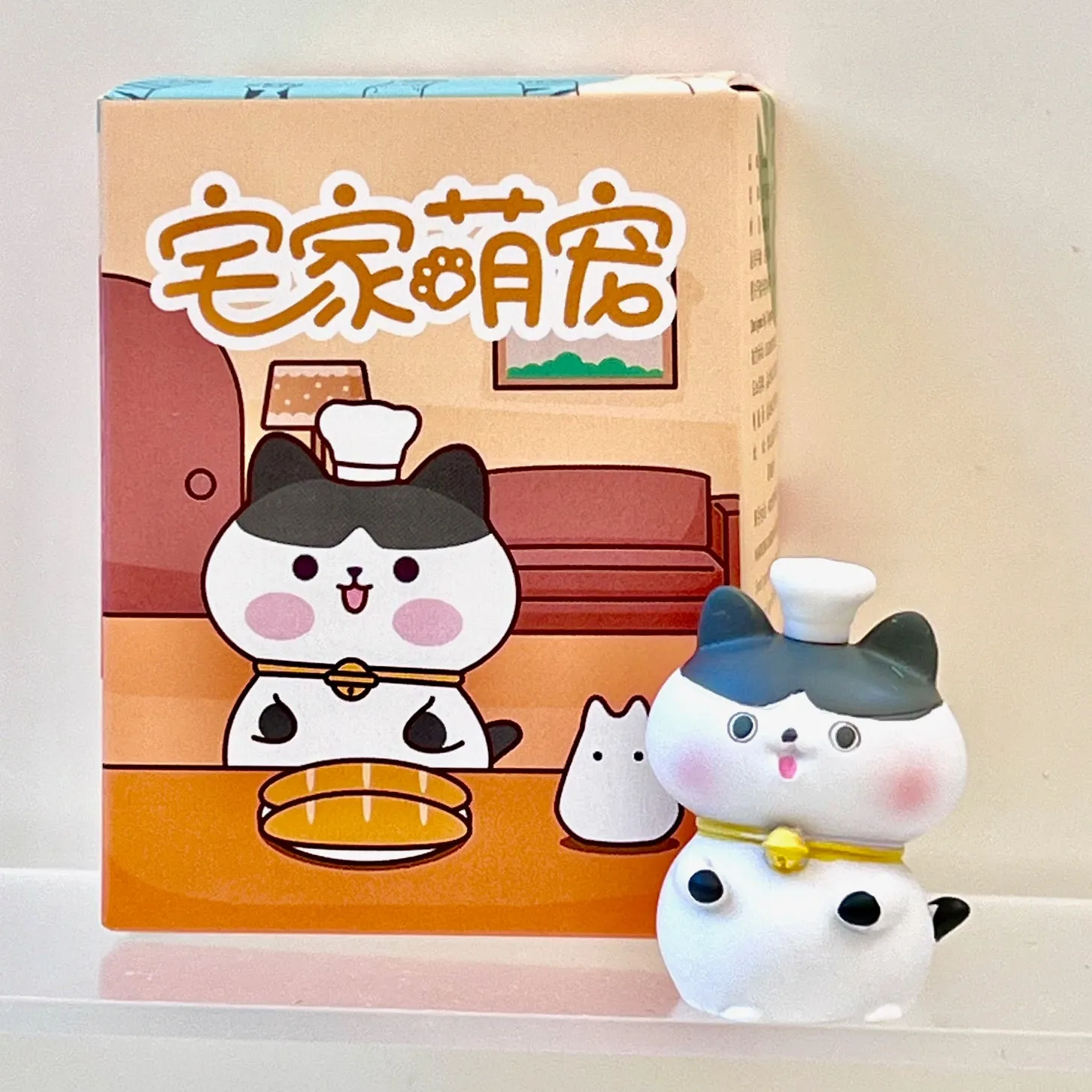 71031 House Cats Blind Box-6