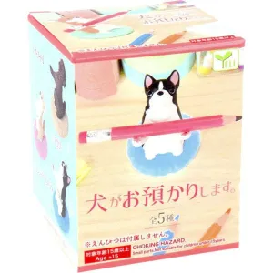 [Restock] Inu ga Oazukari Shimasu - Dog (Box of 10)