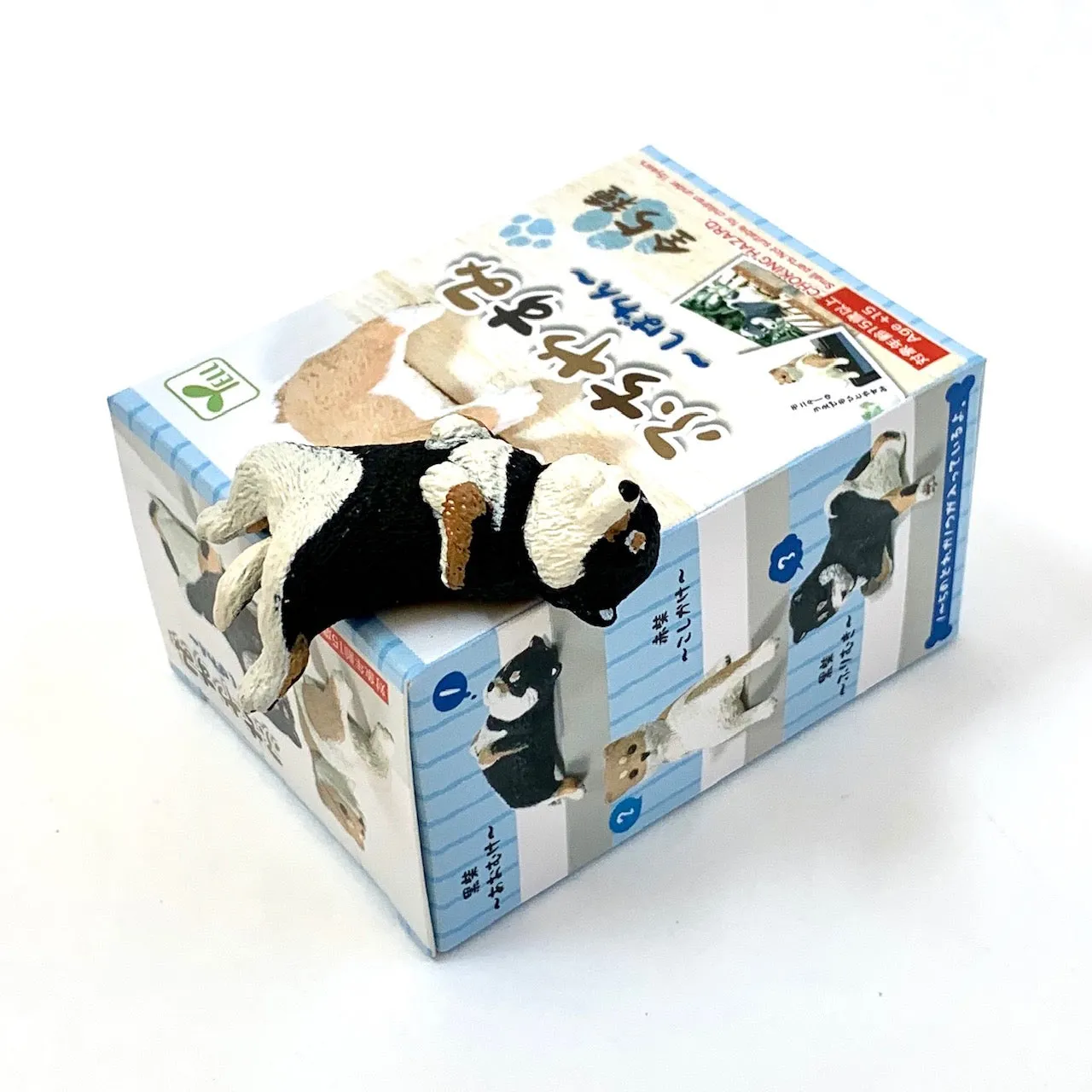 X 70716 SHIBA INU HANGING DOG BLIND BOX-DISCONTINUED