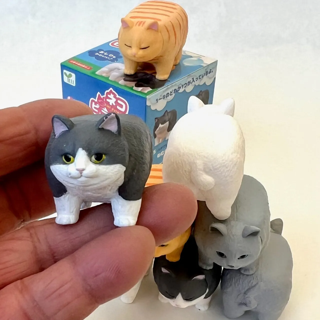 X 70763 CAT PYRAMID FIGURINES BLIND BOX-DISCONTINUED